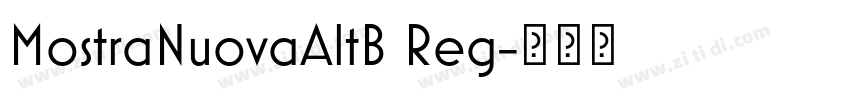 MostraNuovaAltB Reg字体转换